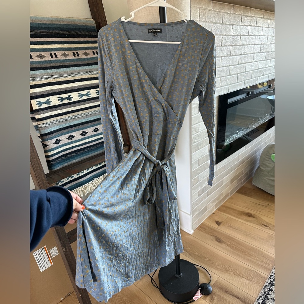 Toad&Co long sleeve dress